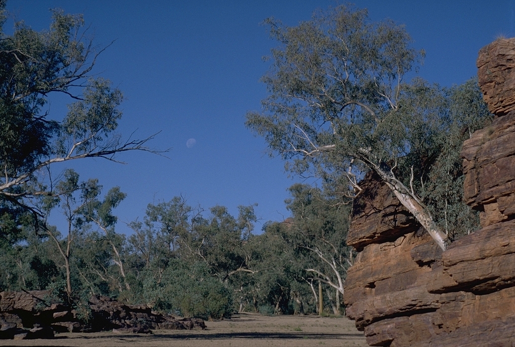 Trephina Gorge