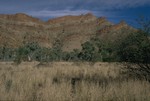 Near the Trephina Gorge