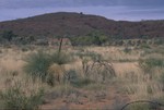 Mereenie Loop heading Kings Canyon