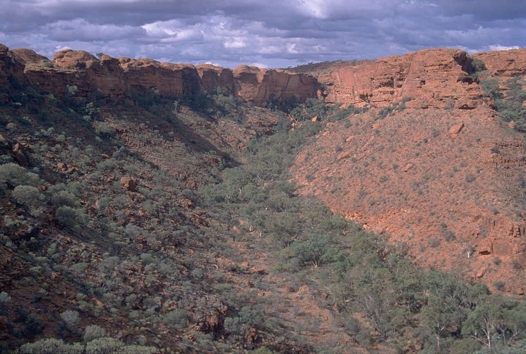 Watarrka NP (Kings Canyon)