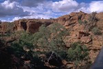 On the stairs in Kings Canyon