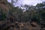 Inside the Kings Canyon